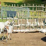 U Svagra - Telgárt